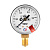 Манометр с поверкой 1,0 МПа, углекислый газ ПТК 001.050.905